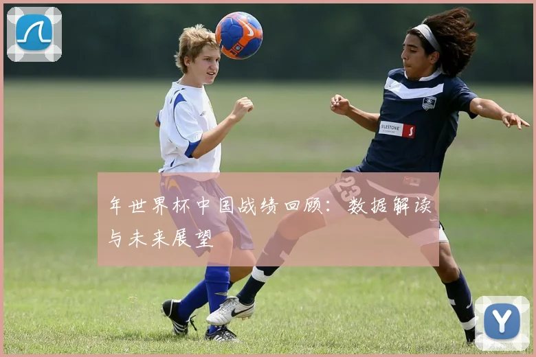 年世界杯中国战绩回顾：数据解读与未来展望