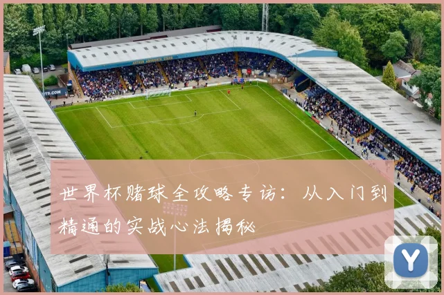 世界杯赌球全攻略专访:从入门到精通的实战心法揭秘