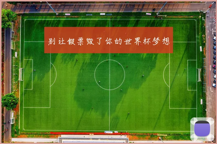 别让假票毁了你的世界杯梦想