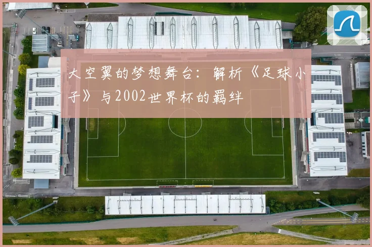 大空翼的梦想舞台：解析《足球小子》与2002世界杯的羁绊