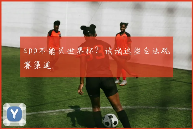 app不能买世界杯？试试这些合法观赛渠道