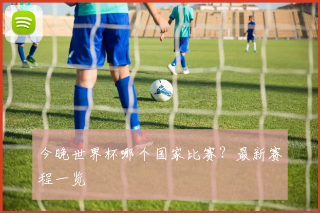 今晚世界杯哪个国家比赛？最新赛程一览