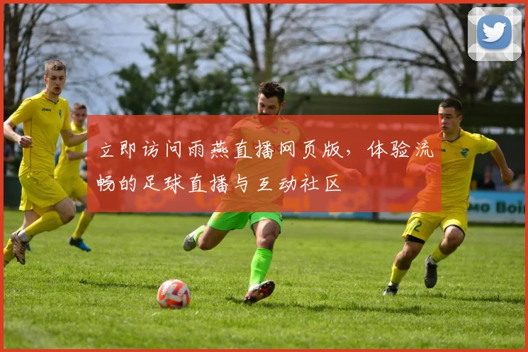 立即访问雨燕直播网页版，体验流畅的足球直播与互动社区